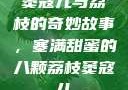 窦寇儿与荔枝的奇妙故事，塞满甜蜜的八颗荔枝窦寇儿