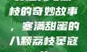 窦寇儿与荔枝的奇妙故事，塞满甜蜜的八颗荔枝窦寇儿