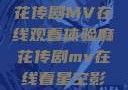 星空下的麻花传剧MV在线观看体验麻花传剧mv在线看星空影视评价
