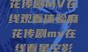 星空下的麻花传剧MV在线观看体验麻花传剧mv在线看星空影视评价