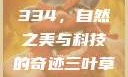 三叶草GW4334，自然之美与科技的奇迹三叶草gw43345