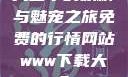 天堂中的妖精与魅宠之旅免费的行情网站www下载大全