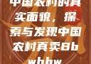 中国农村的真实面貌，探索与发现中国农村真卖Bbwbbw