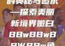 关于嫩白肌肤的奥秘与追求—探索美丽新境界嫩白BBwBBwBBWBBw免费