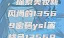 YSL蜜桃色，探索美妆新风尚的13569密码ysl蜜桃色13569图片