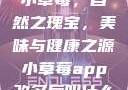 小草莓，自然之瑰宝，美味与健康之源小草莓app改名后叫什么
