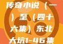 东北大坑，一部跨越时空的传奇小说（一）至（四十六集）东北大坑1-46集小说东北大坑续集