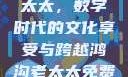 免费观看高清电视剧的老太太，数字时代的文化享受与跨越鸿沟老太太免费观看高清电视剧韩剧