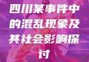 四川某事件中的混乱现象及其社会影响探讨