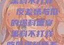 揭秘娱乐圈，黑料不打烊，反差婊与瓜的爆料盛宴黑料不打烊吃瓜爆料反差婊下载