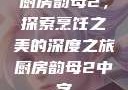 厨房韵母2，探索烹饪之美的深度之旅厨房韵母2中字