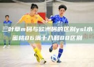 三叶草m码与欧洲码的区别ysl水蜜桃86满十八和88区别