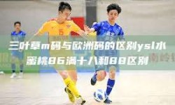 三叶草m码与欧洲码的区别ysl水蜜桃86满十八和88区别