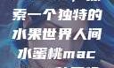 人间水蜜桃mac923，探索一个独特的水果世界人间水蜜桃mac923,韩国伦理电影网