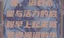 晨光中的牛奶壶，满载希望与活力的启程早上起来就装得满满的牛奶壶是好事吗