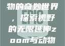 Zoom与动物的奇妙世界，探索视野的无限延伸zoom与动物zoom大全