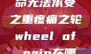 疼痛之轮，生命无法承受之重疼痛之轮wheel of pain在哪里