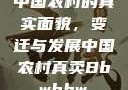中国农村的真实面貌，变迁与发展中国农村真卖Bbwbbw