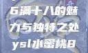ysl水蜜桃86满十八的魅力与独特之处ysl水蜜桃86满十八吗
