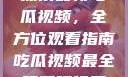 探索最新吃瓜视频，全方位观看指南吃瓜视频最全观看骑行圈