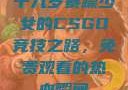 十九岁暴躁少女的CSGO竞技之路，免费观看的热血瞬间