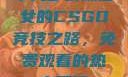 十九岁暴躁少女的CSGO竞技之路，免费观看的热血瞬间