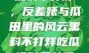 揭秘娱乐圈，黑料不打烊，反差婊与瓜田里的风云黑料不打烊吃瓜爆料反差婊2023