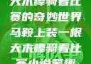 马鞍上装一根大木棒骑着比赛的奇妙世界马鞍上装一根大木棒骑着比赛小说笔趣阁