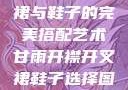 甘雨开襟开叉裙与鞋子的完美搭配艺术甘雨开襟开叉裙鞋子选择图片