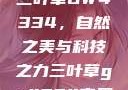 三叶草GW4334，自然之美与科技之力三叶草gw4334官网
