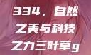 三叶草GW4334，自然之美与科技之力三叶草gw4334官网