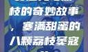 窦寇儿与荔枝的奇妙故事，塞满甜蜜的八颗荔枝窦寇儿