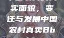 中国农村的真实面貌，变迁与发展中国农村真卖Bbwbbw