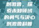 刺激鲁，探索未知领域的勇气与决心刺激鲁科普
