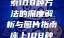 床上扦插技巧大观，探索108种方法的深度解析与图片指南床上108种扦插方法图片大全