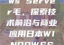 日本Windows Server毛，探索技术前沿与商业应用日本WINDOWSSERVER毛