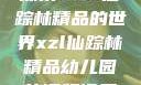 探索XZL仙踪林精品的世界xzl仙踪林精品幼儿园的课程设置