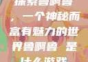 探索鲁啊鲁，一个神秘而富有魅力的世界鲁啊鲁 是什么游戏