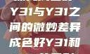 探究成色好Y31与Y31之间的微妙差异成色好Y31和Y31的区别