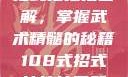 揭秘108式招式拍拍拍图解，掌握武术精髓的秘籍108式招式拍拍拍图解动图