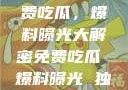 独家揭秘，免费吃瓜，爆料曝光大解密免费吃瓜 爆料曝光 独家揭秘网站