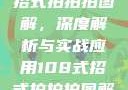 揭秘108式招式拍拍拍图解，深度解析与实战应用108式招式拍拍拍图解动图