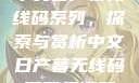中文日产幕无线码系列，探索与赏析中文日产幕无线码系列天海翼