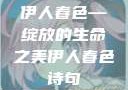伊人春色—绽放的生命之美伊人春色诗句