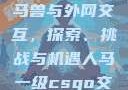 Python人马兽与外网交互，探索、挑战与机遇人马一级csgo交易网站
