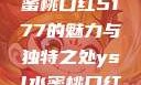 探究YSL水蜜桃口红5177的魅力与独特之处ysl水蜜桃口红5117