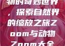 Zoom与动物的奇妙世界，探索自然界的缩放之旅Zoom与动物Zoom大全免费