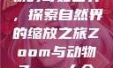Zoom与动物的奇妙世界，探索自然界的缩放之旅Zoom与动物Zoom大全免费