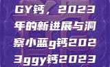 探索小蓝G钙与GGY钙，2023年的新进展与洞察小蓝g钙2023ggy钙2023的功能介绍