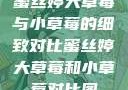 蜜丝婷大草莓与小草莓的细致对比蜜丝婷大草莓和小草莓对比图